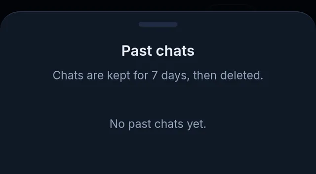 The past chats list: chats are kept for 7 days, then deleted; no past chats yet
