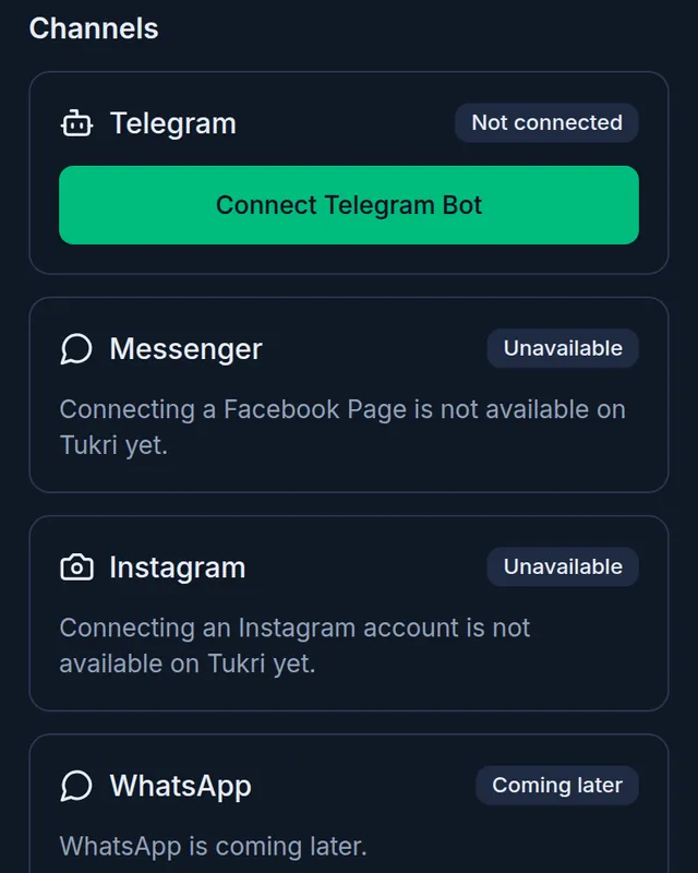 Channels: Telegram not connected with the Connect Telegram Bot button, Messenger and Instagram unavailable, WhatsApp coming later